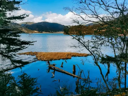 WagonBet Casino Application mobile